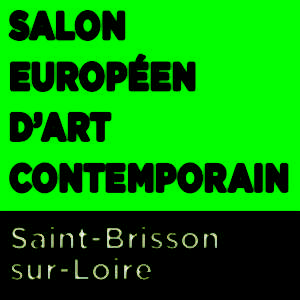 photo Salon Européen d'Art Contemporain 2024