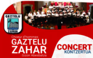 Concert avec Gaztelu Zahar & Medikoak