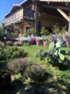 L'HÉRAULT DE FERME EN FERME - LE PETIT MOULIN DE LÉONCE