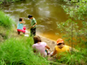 photo Atelier du petit naturaliste