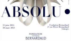 photo Exposition Absolu. - Bernardaud