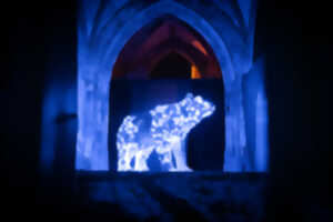 photo Les Nuits Lumière de Bourges