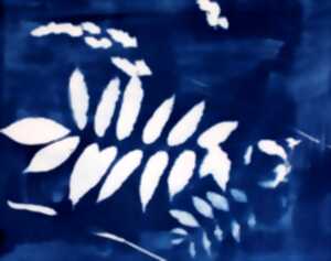 photo Atelier Inititation au cyanotype