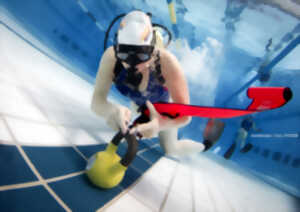 photo Championnat de France de Plongée Sportive en piscine - Limoges