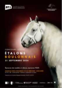 photo Concours Etalons Boulonnais