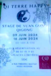 Stage de Yuan Gong Qigong