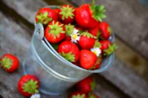 photo Fête de la fraise