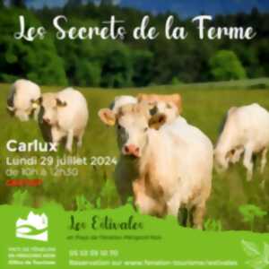 photo LES ESTIVALES : Les secrets de la ferme - Carlux