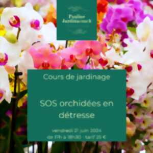 photo Cours de jardinage: SOS Orchidées en détresse