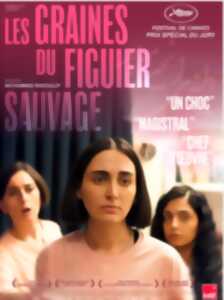 Cinéma Laruns : Les graines du figuier sauvage - VOST