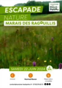 photo Escapade nature : Marais des ragouillis