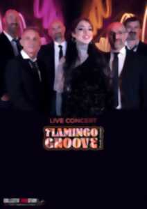 photo ANIMATION MUSICALE FLAMINGO GROOVE