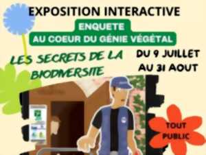 photo Exposition interactive 