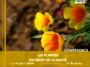 CONFÉRENCE - LES PLANTES EN DROIT DE LA SANTÉ