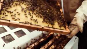 A la rencontre des producteurs, découverte du métier d'apiculteur
