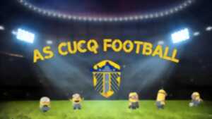 Stage de foot - Minion stages édition summer