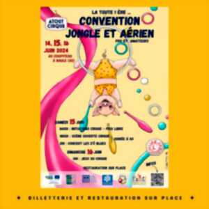 photo Convention Atout Cirque : Jonglerie et Aériens