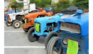 photo Rassemblement de vieux tracteurs