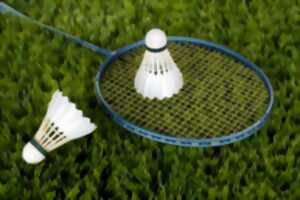 photo Eté sportif en Ouest Limousin : Badminton, speedminton