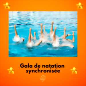 photo Gala de natation synchronisée