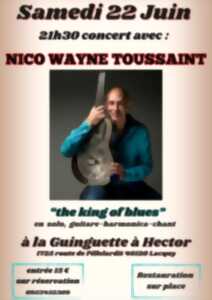 photo Concert : Nice Wayne Toussaint