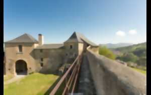 photo Visite, apéro et cinéma au château fort