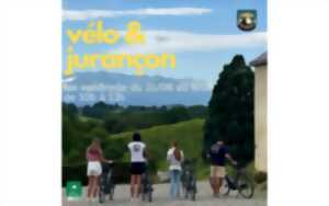 Pyrène à vélo: Vélo & Jurançon