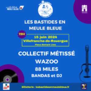 Les Bastides en Meule Bleue