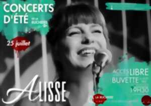 photo Concerts d'Eté à la Ruchidée - Limoges