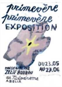 photo Exposition : Primevère, primevère - Zélie Boubou