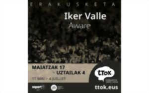 Exposition : Iker Valle - Aware