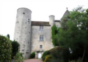 photo Visite du Châteaux de la Mothe