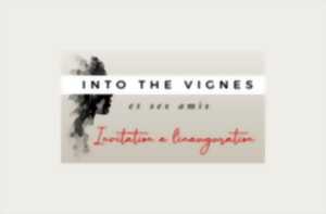 photo Inauguration | Into the vignes et ses amis