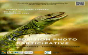 photo Exposition photo participative