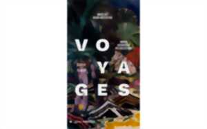 Visite flash du nouvel accrochage des collections : Voyages