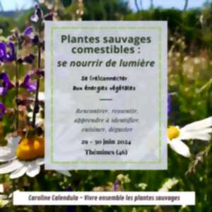 Stage week-end « Plantes sauvages comestibles : se nourrir de lumière » à Thémines