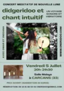 Concert méditatif de didgeridoo et chant intuitif - Sur inscription - Prix ouvert
