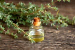 Inititation à l'aromathérapie et découverte de l'olfactothérapie