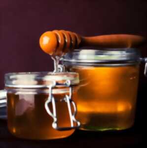 Visite du rucher Caillaou  : Comment se fabrique le miel ? à Saint Magne