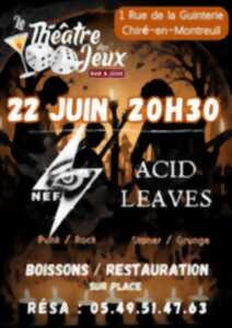photo Concerts (Nef - Acid Leaves)