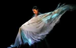 photo Festival Arte Flamenco - 04 juillet