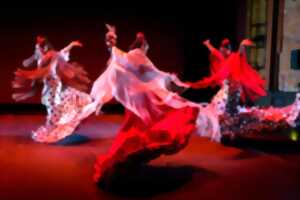 Festival Arte Flamenco - 05 juillet