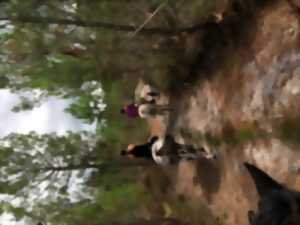 Balade équestre en forêt à Sanguinet