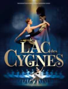 photo Ballet Le Lac des Cygnes