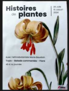 Histoires des plantes