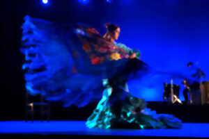 photo Festival Arte Flamenco - 06 juillet