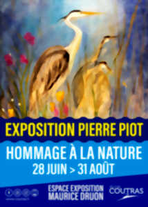 photo Exposition Pierre Piot