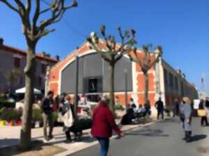 photo Marché Halles de Biarritz