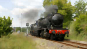 photo Train à Vapeur Limoges - Brignac + Randonnée Moulin du Got - 17 juillet