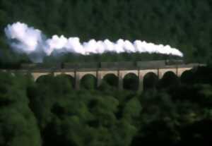 photo Train touristique à vapeur : Circuit d'Eymoutiers à Bugeat - 14 juillet